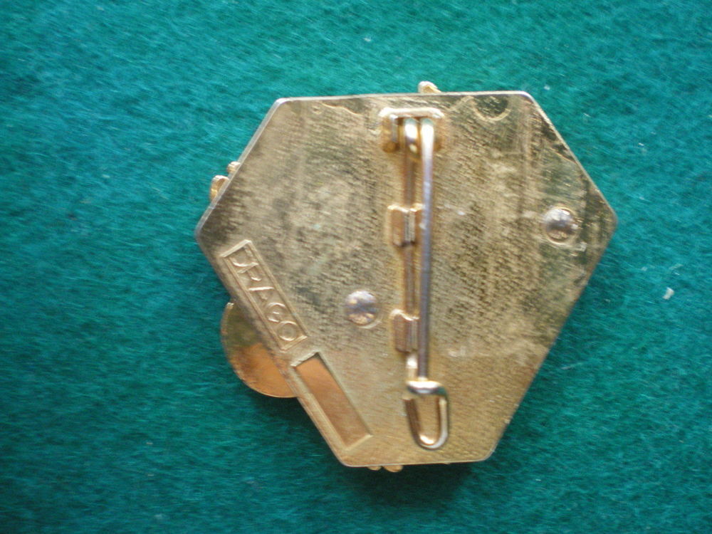 Insigne de Sant&eacute; - 1&deg; R&eacute;giment M&eacute;dical C.C.M. 