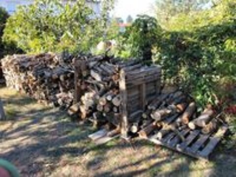   Jardinage multi-services  