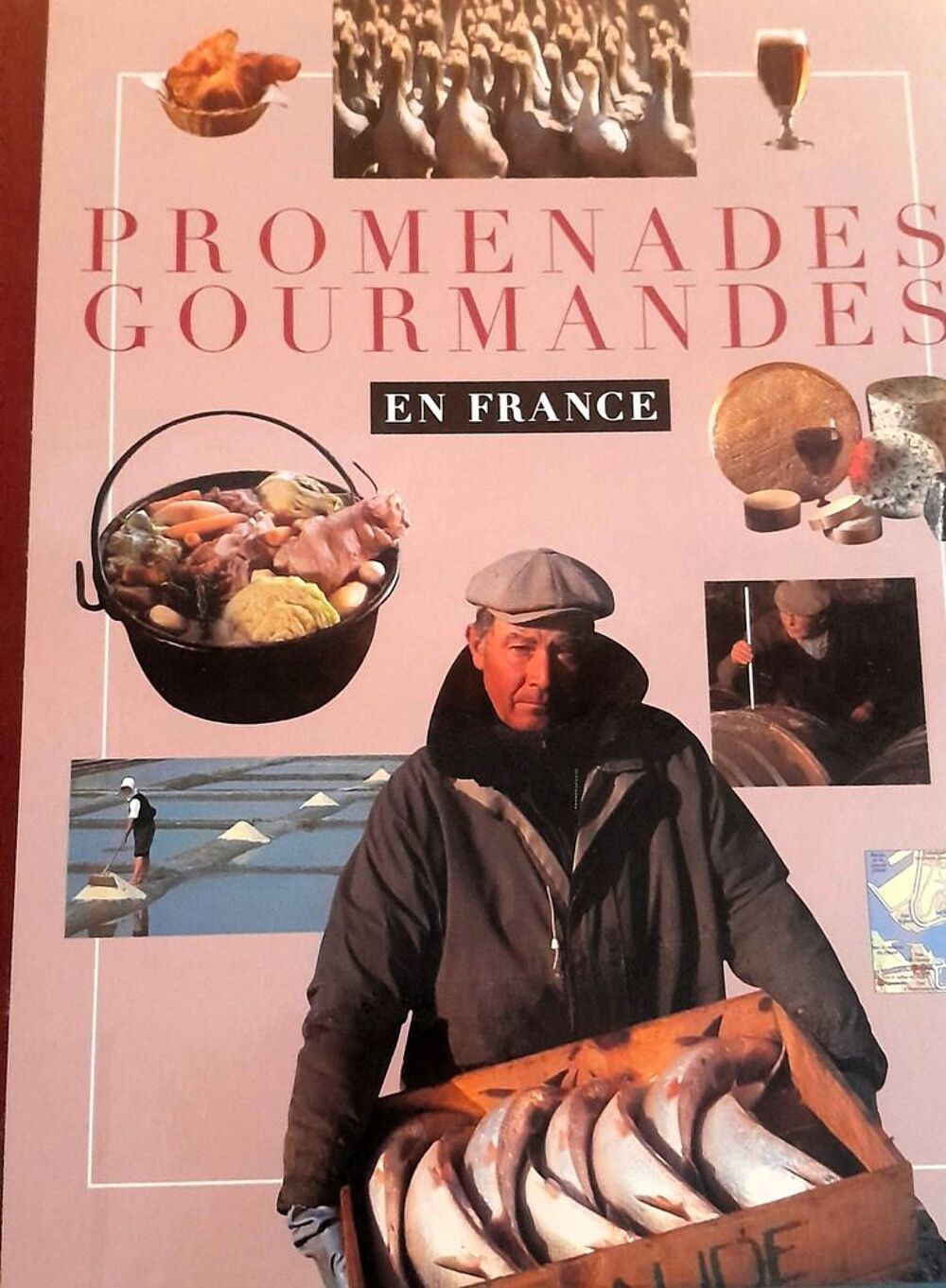 Lot de 4 Livres : Sant&eacute; - Patrimoine gastronomique - Nature Livres et BD