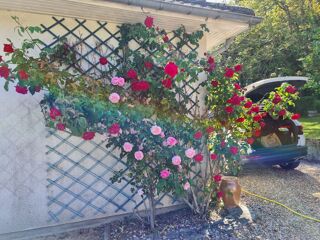  Maison � vendre 3 pi�ces 74 m� Sury-�s-bois