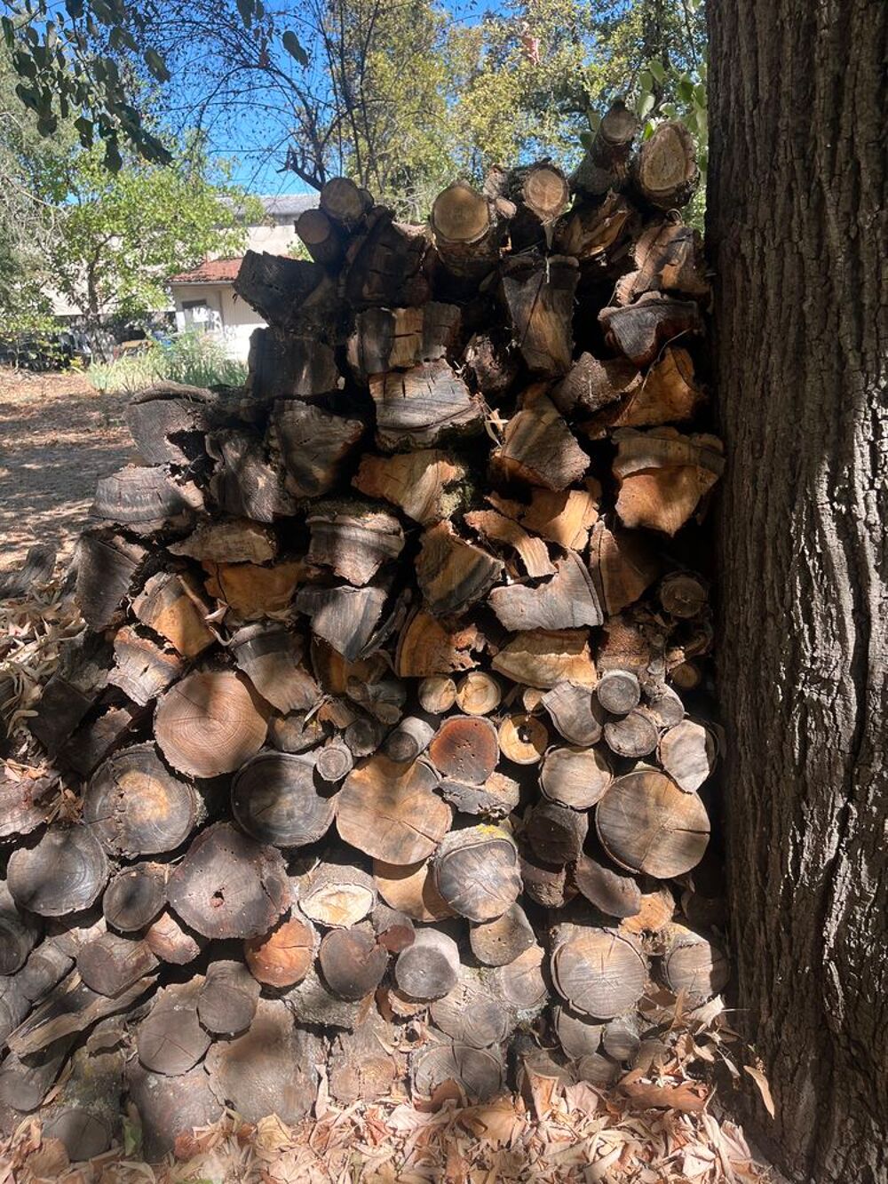 Bois de chauffage
Bricolage