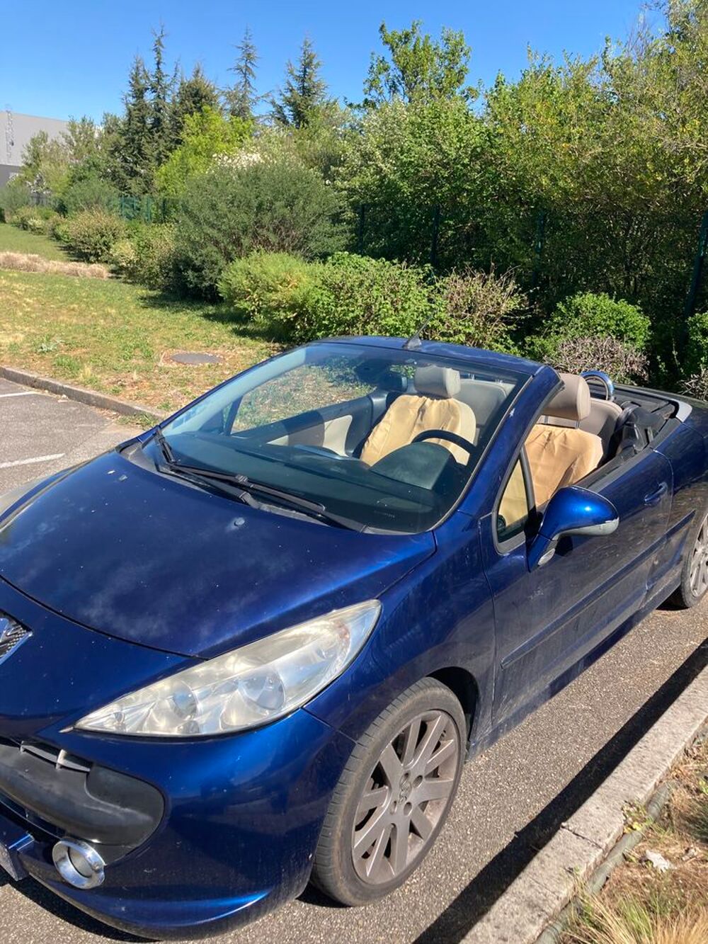 207 CC 1.6 HDi 110ch FAP BLUE LION Sport Pack 2009 occasion 01160 Pont-d'Ain