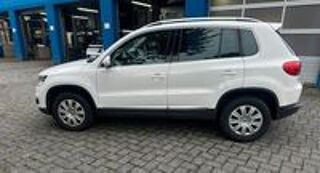 Tiguan 2014 occasion 20260 Calvi