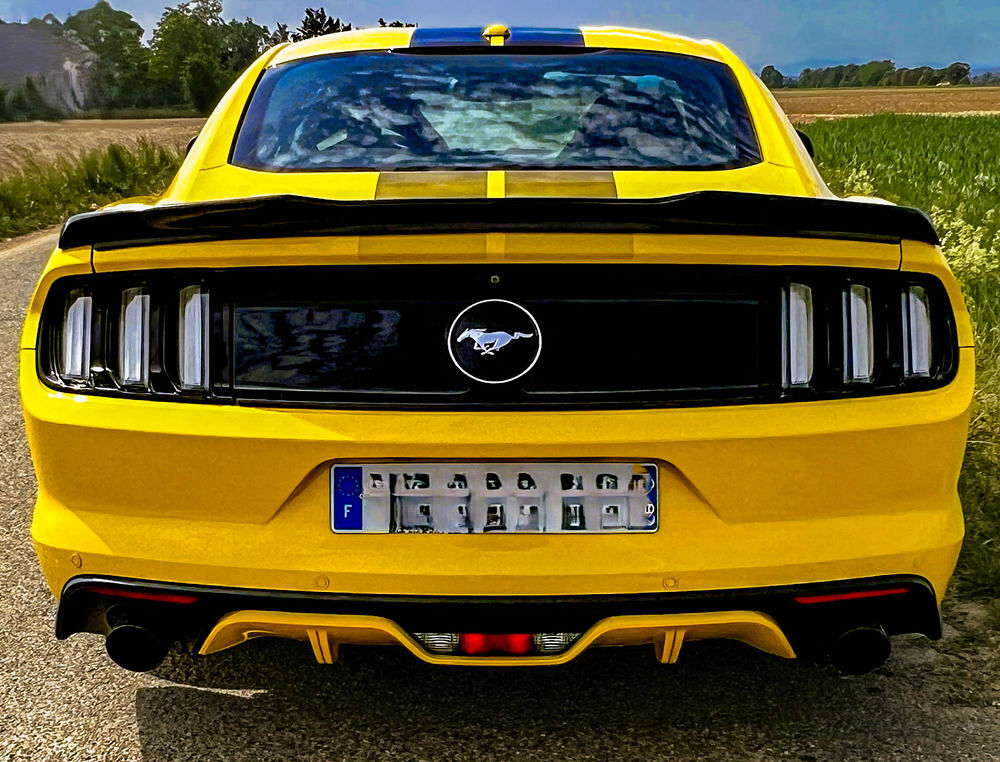 Mustang Fastback 2.3 EcoBoost 317 2016 occasion 26800 Portes-l&egrave;s-Valence