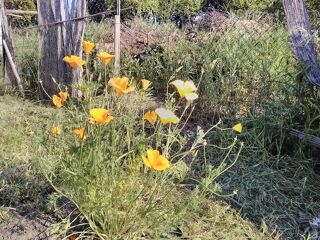  Terrain � louer 45 m�