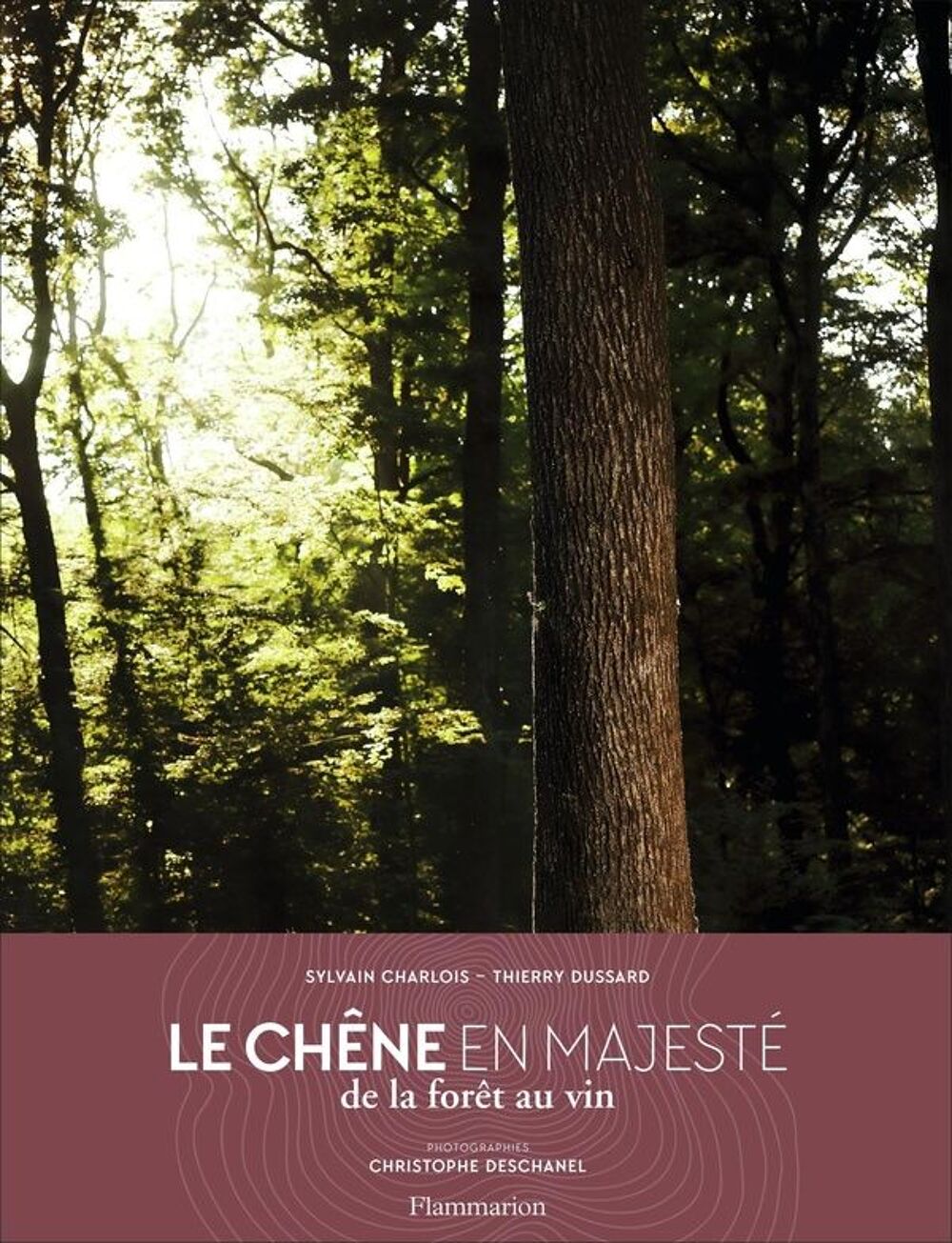 Le ch&ecirc;ne en majest&eacute; ; de la for&ecirc;t au vin Livres et BD