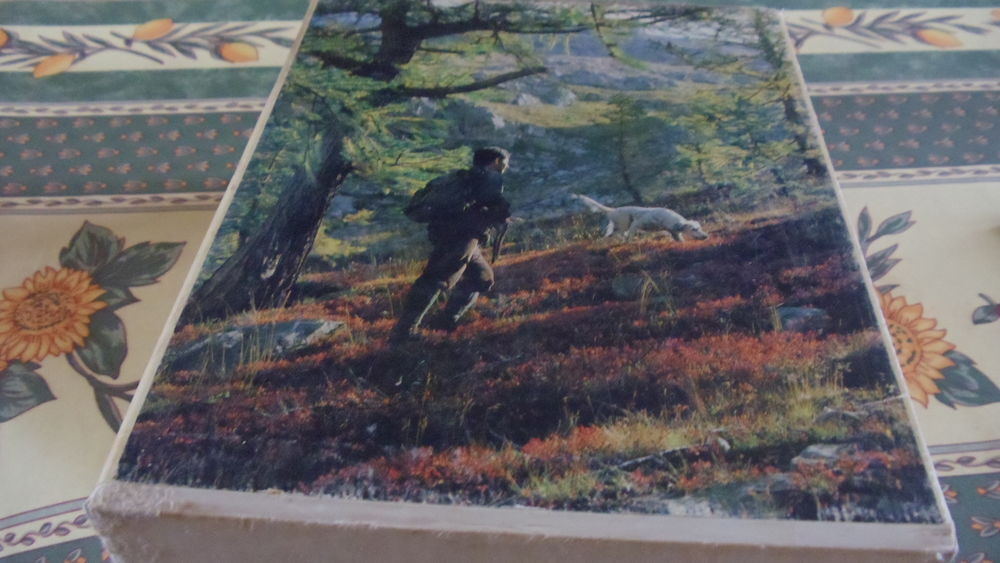 La chasse Paul Vialar Livres et BD