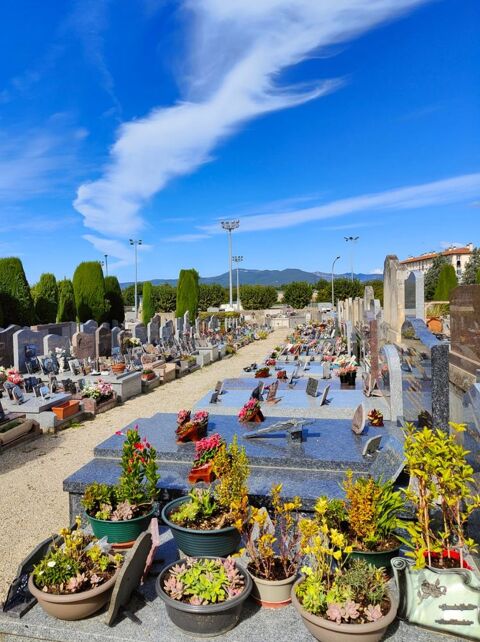 Service Entretien de sépultures 0 84600 Valras