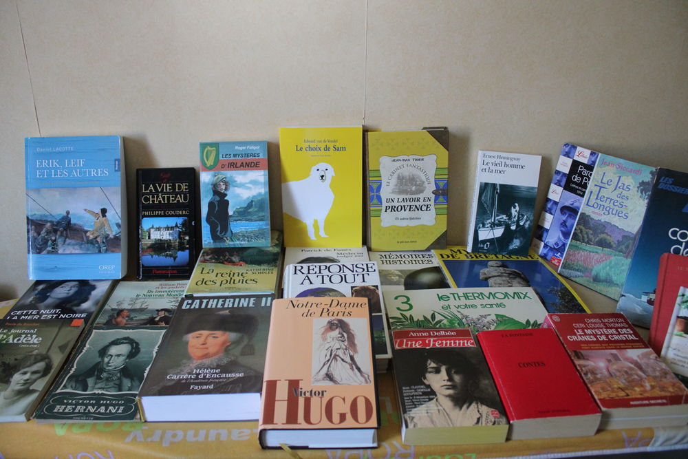 lot de 45 livres occasion Livres et BD