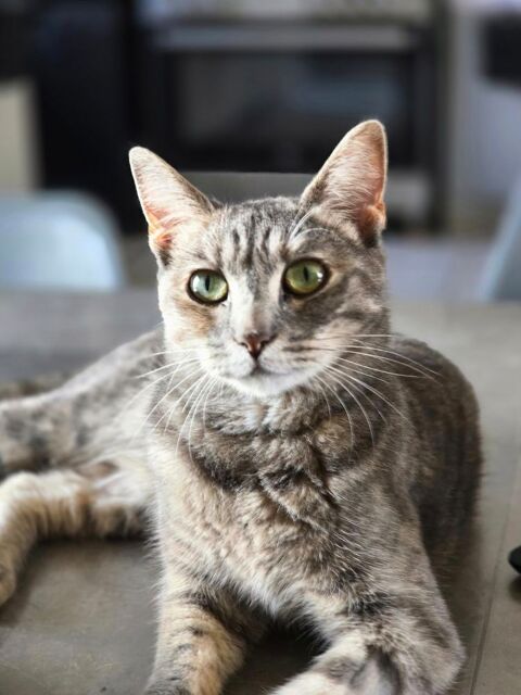 MOKA 210 60000 Beauvais