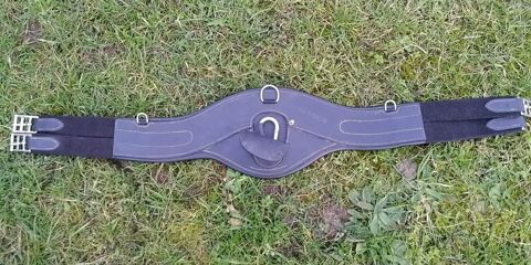 Sangle John Whittaker poney 70 Pluc-sur-Li (22)