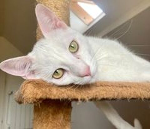   EVANGELINE, la sportive ! accrochez-vous ... 