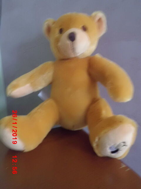 OURS ORANGE PRIMATIS 15 Oignies (62)