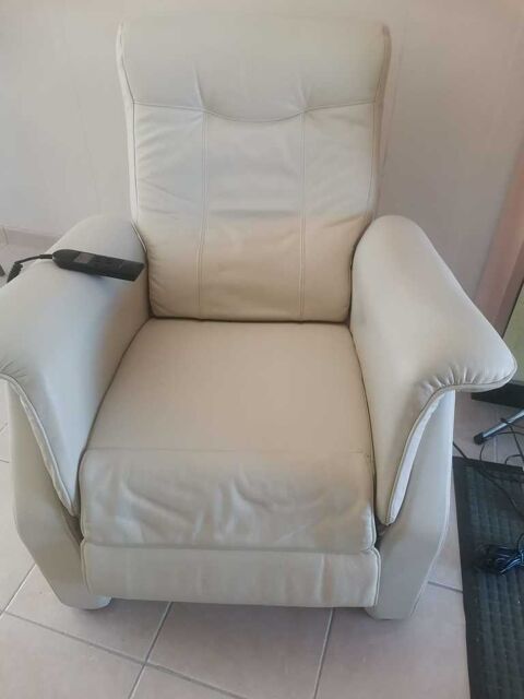 Fauteuil cuir 350 Cestas (33)