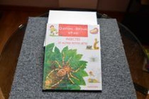 Questions r�ponses 6-9 ans les insectes 13 M�rignies (59)