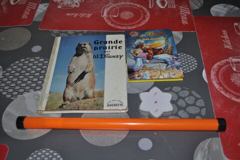 Livre pour enfants 5 Perreuil (71)