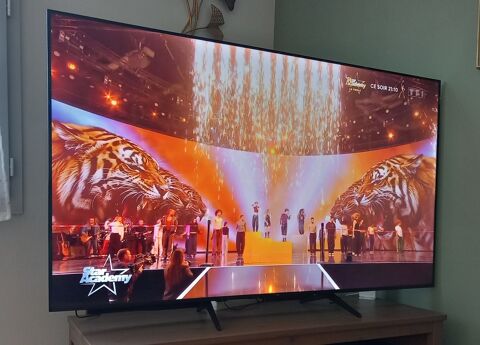 T�l�viseur �cran plat TCL QLED 65  450 Pont-Saint-Esprit (30)