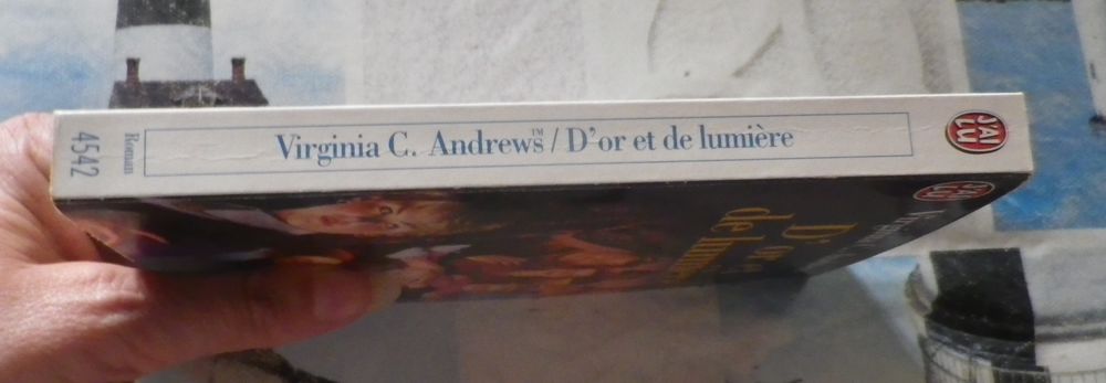 D'OR ET DE LUMIERE T3 LA FAMILLE LANDRY Virginia C. ANDREWS Livres et BD