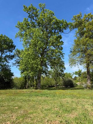  Terrain � vendre 2000 m� Mios