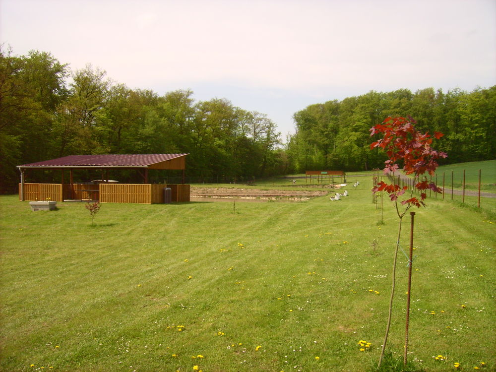 Location Terrain Etang pour pêche, fête, associations, particuliers Loupershouse