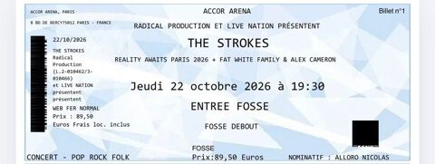 concert The strokes Paris 1 Toulon (83)