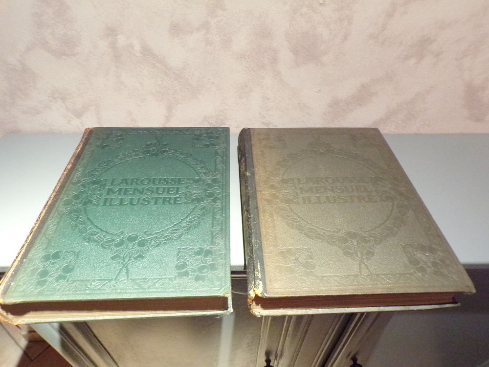 Larousse mensuel illustr&eacute; 
Téléphones et tablettes