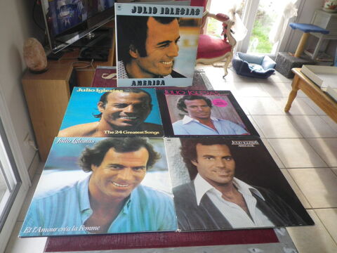 Disques Vinyl Julio Iglesias 33T - lot de 10 60 Toulouse (31)