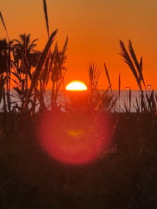 Location  Appartement 