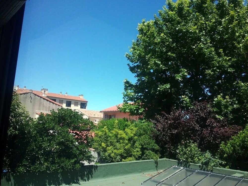 Location Appartement Grand T1 33 m2 au Calme Rez de Chaussée sécurisée Marseille 10