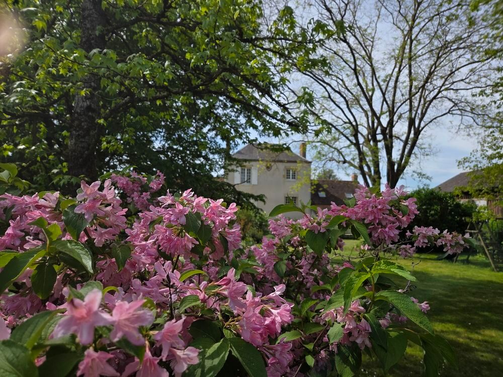 Vente Maison Maison de maître du XIX ème proche des bords de Loire Darvoy