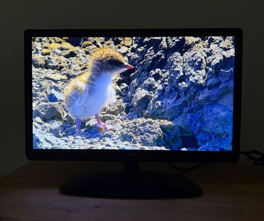 TV JVC Photos/Video/TV