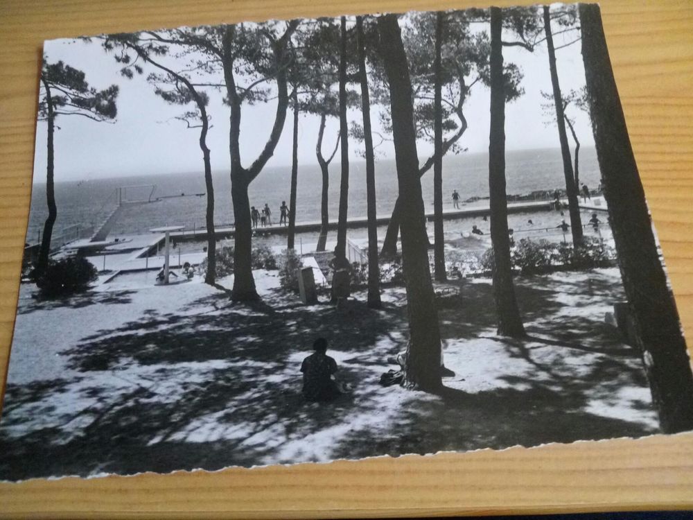 CARTE POSTALE NOIR ET BLANC LES ISSAMBRES 