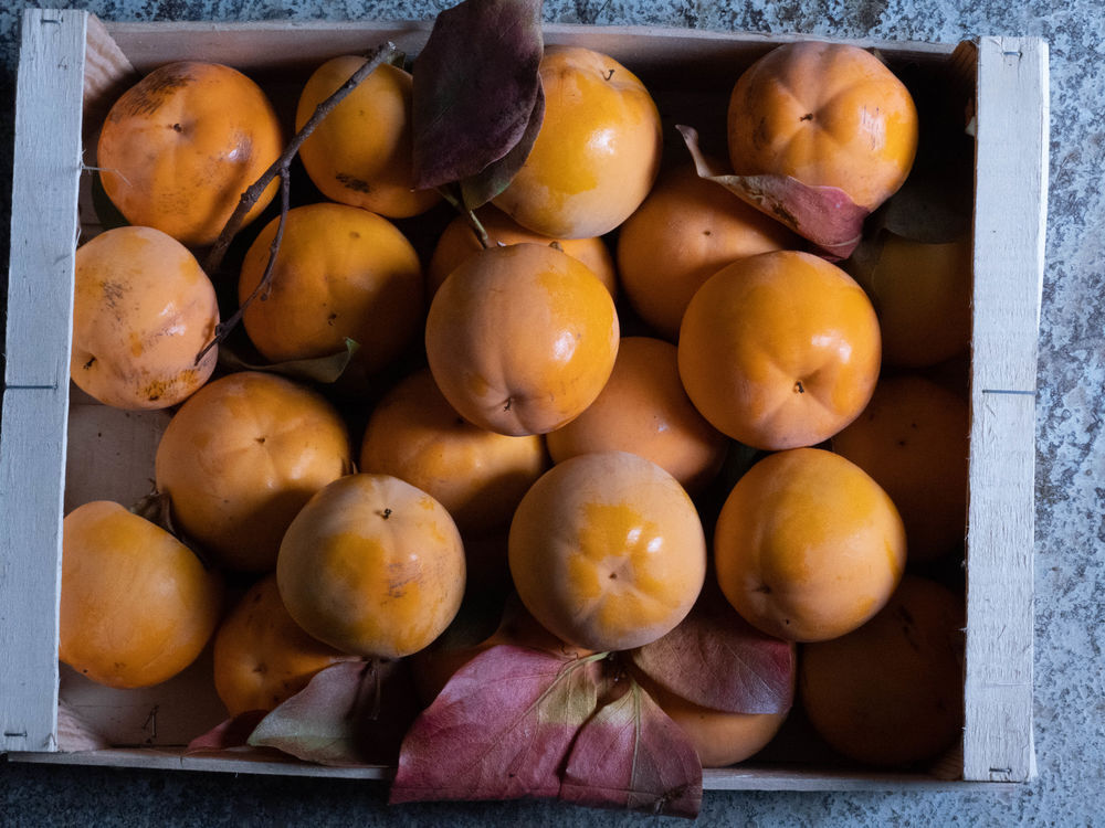Fruits kakis Jardin