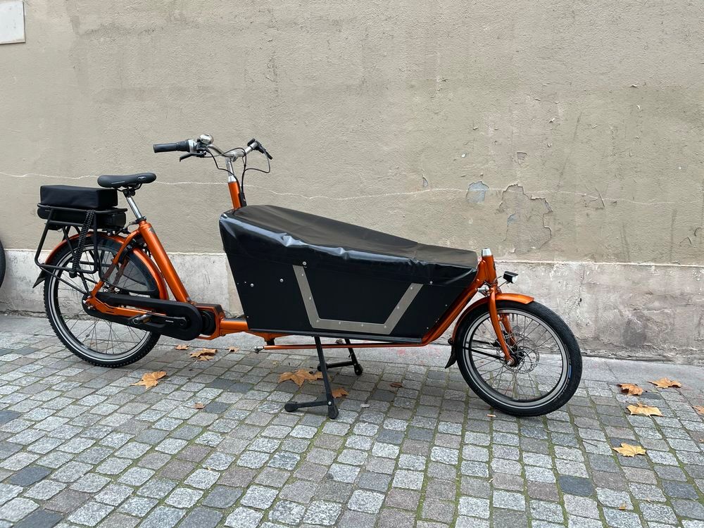 Achetez v lo cargo occasion annonce vente Paris 75 WB168040325