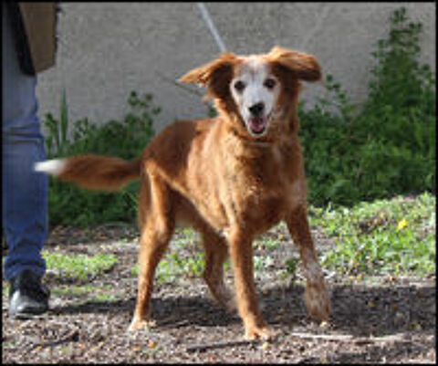   Petite LUNA cherche une famille 