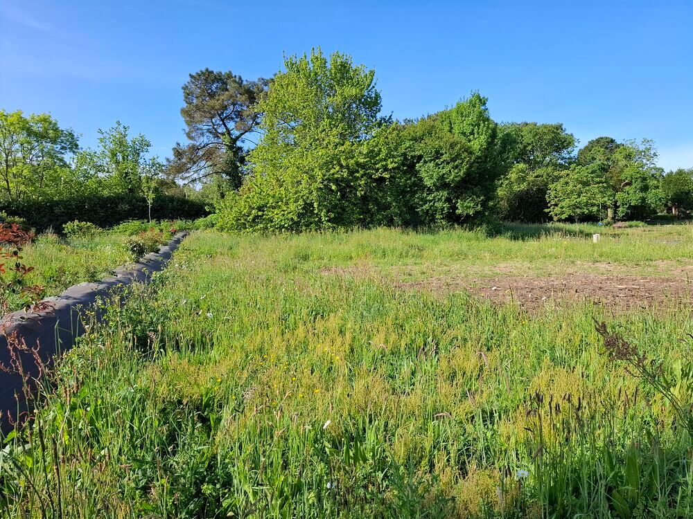 Vente Terrain Terrain constructible viabilisé n°6 Clos Kerandro - Loctudy Loctudy