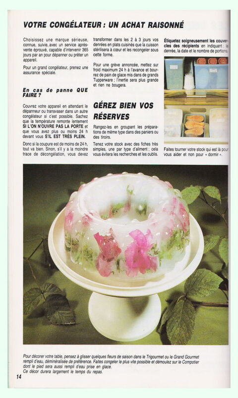 livre Tupperware 
4 Perceneige (89)