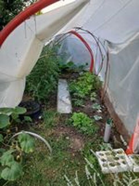   JARDINIER a domicile 20ans d experience 