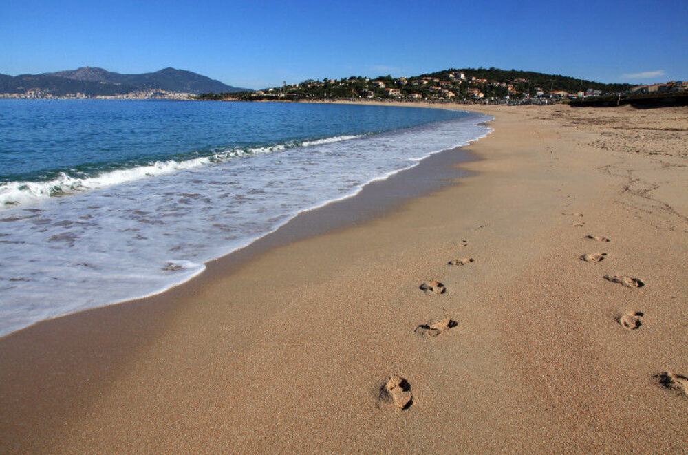     PORTICCIO  T2 climatis Plage d'Agosta  50m Corse, Porticcio (20166)