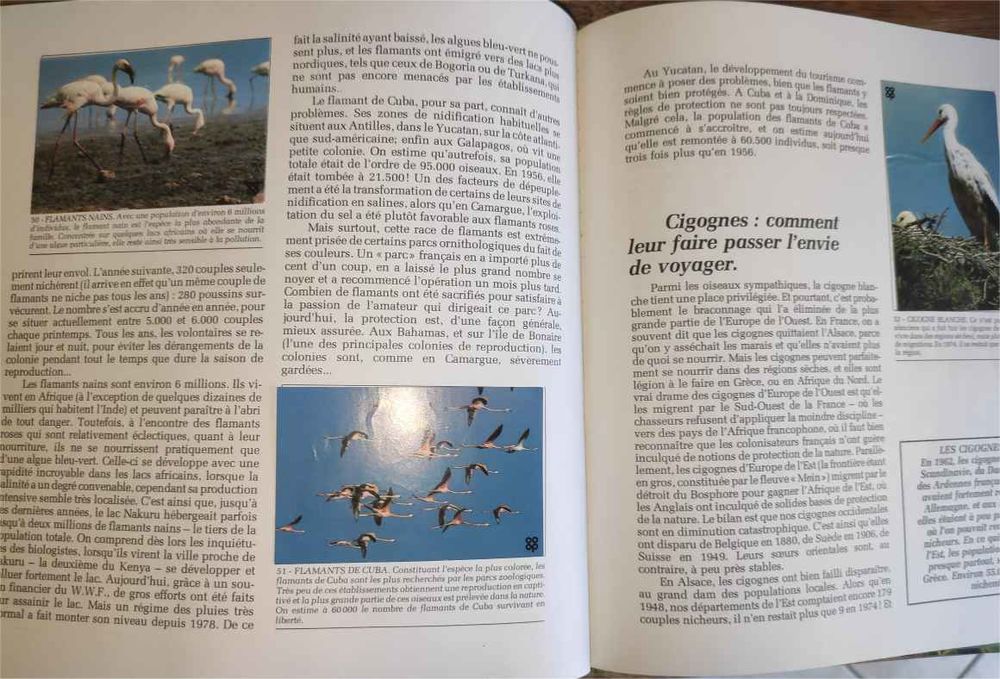 Les animaux sauv&eacute;s par l'homme ? Coop / WWF ? 1981 Livres et BD
