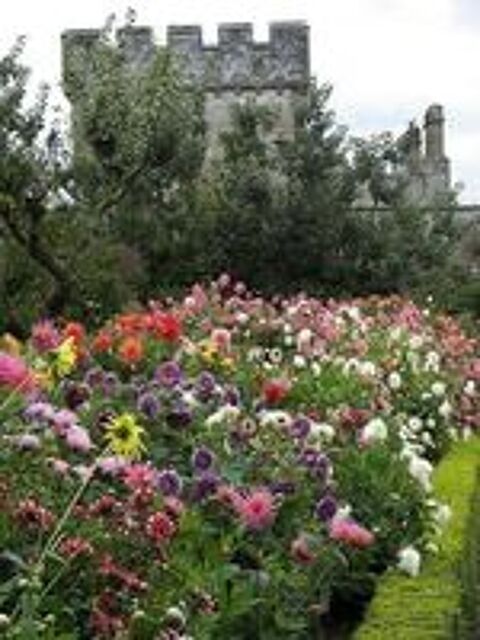   jardinier 