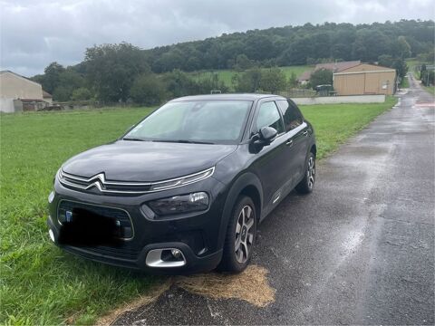 Citroen c4 cactus Citroën  BlueHDi 100 BVM Feel