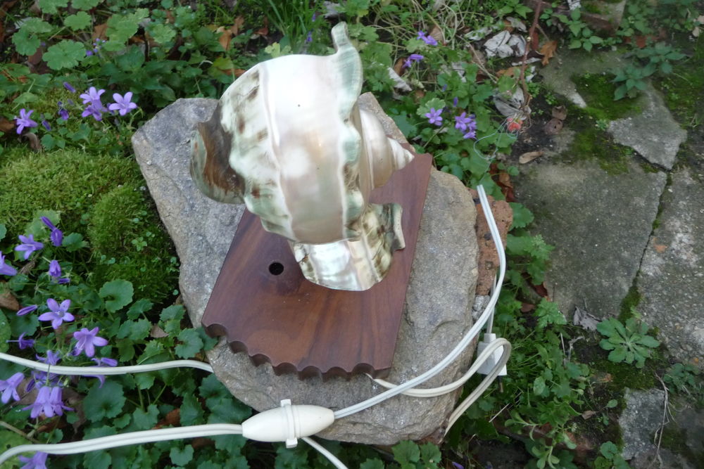 lampe coquillage D�coration