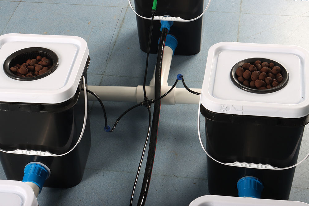 Syst&egrave;me Hydroponique N&eacute;erlandais en eau Profonde Jardin