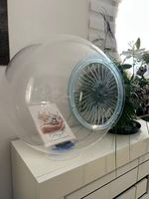   Cage bulle padda  