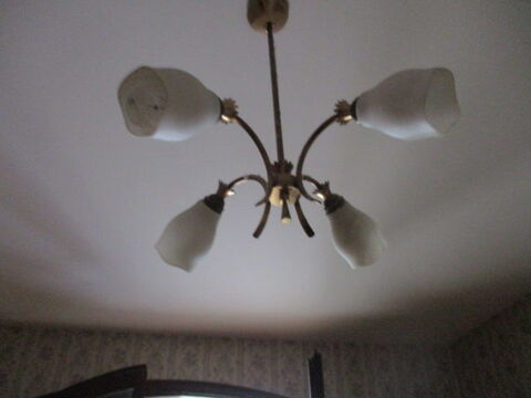 Lustre 20 Castres (81)