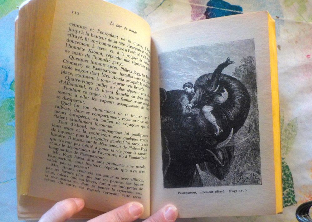 LE TOUR DU MONDE EN 80 JOURS de Jules VERNE Livre de Poche Livres et BD