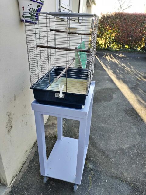 Cage+oiseau Vendrennes (85)