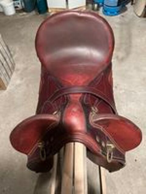   Selle de cheval australienne  