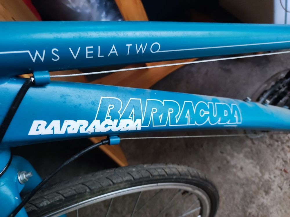 Achetez barracuda women vela occasion annonce vente Nantes 44
